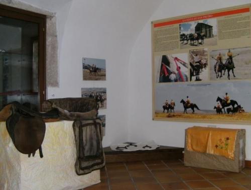 Museo del cavallo