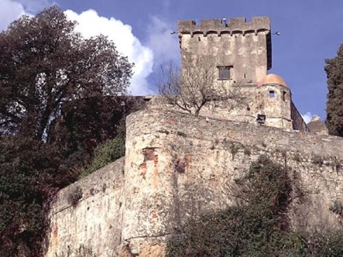 Particolare del Castello - San Terenzo