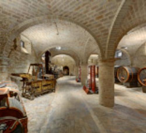 Museo del vino