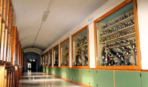Museo Franchetti