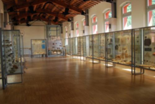 Museo dei funghi e dei fossili
